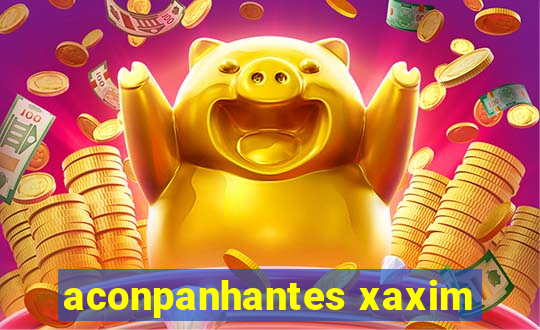 aconpanhantes xaxim